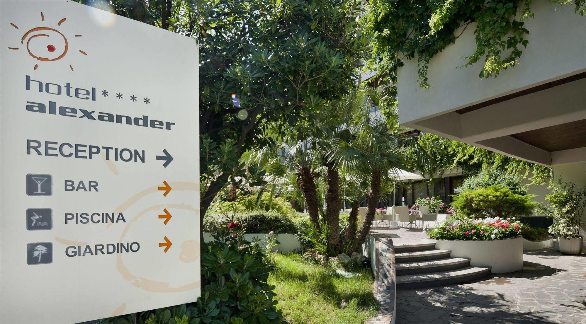 Alexander Hotel 4*